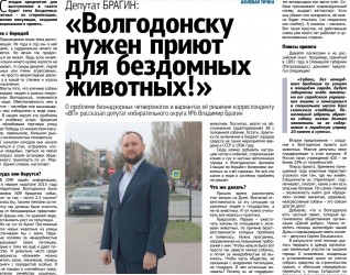 Волгодонску нужен приют для бездомных животных!