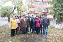На бульваре Тягливого посадили молодые клены