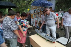 Городские общественники представили волгодонцам свои достижения