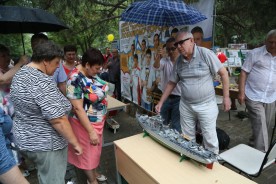 Городские общественники представили волгодонцам свои достижения