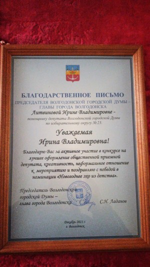 23 ОКРУГ "Новогоднее эхо из детства"