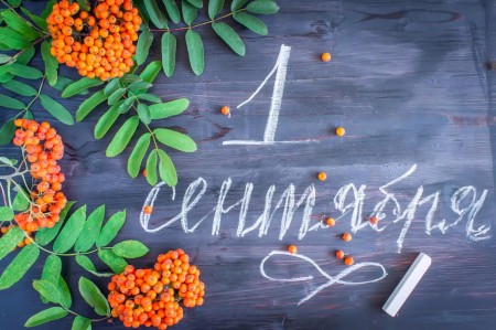 1 сентября – День знаний