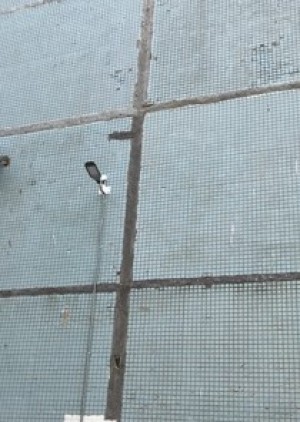 Да будет свет! Благодаря депутату Петру Горчанюку тёмный участок микрорайона стал светлее.