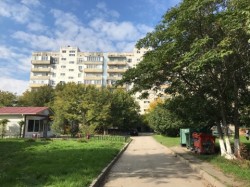 округ №15. Рабочие будни
