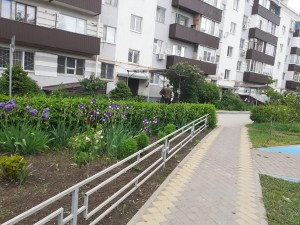 Жители трех домов округа № 4 решили участвовать в конкурсе «Лучший двор»
