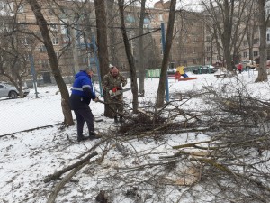Округ № 4 присоединился к общегородскому субботнику