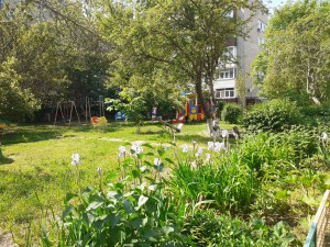 Дома округа № 4 – в числе победителей городского конкурса «Лучший двор»