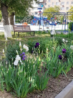 Дома округа № 4 – в числе победителей городского конкурса «Лучший двор»