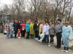 Помощники депутатов побелили деревья в старой части города