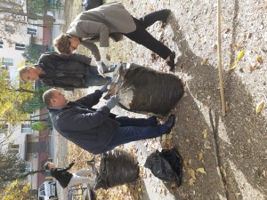  В округе № 4 прошел большой осенний субботник