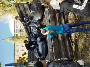  В округе № 4 прошел большой осенний субботник