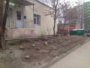 "Весенний субботник" состоялся в микрорайоне "Звёздный", избирательного округа №15