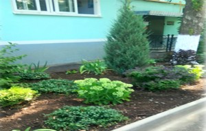 ТСЖ «Спутник» округа № 4 Волгодонска – один из победителей городского конкурса «Лучший двор»