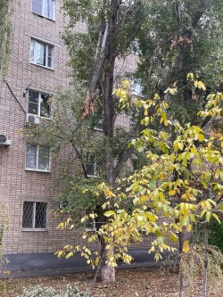 8 округ. Безопасность жителей на контроле у депутата Сергея Асташкина