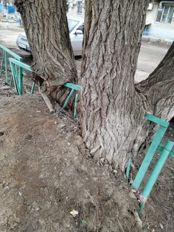 Для блага жителей