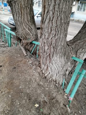 Для блага жителей