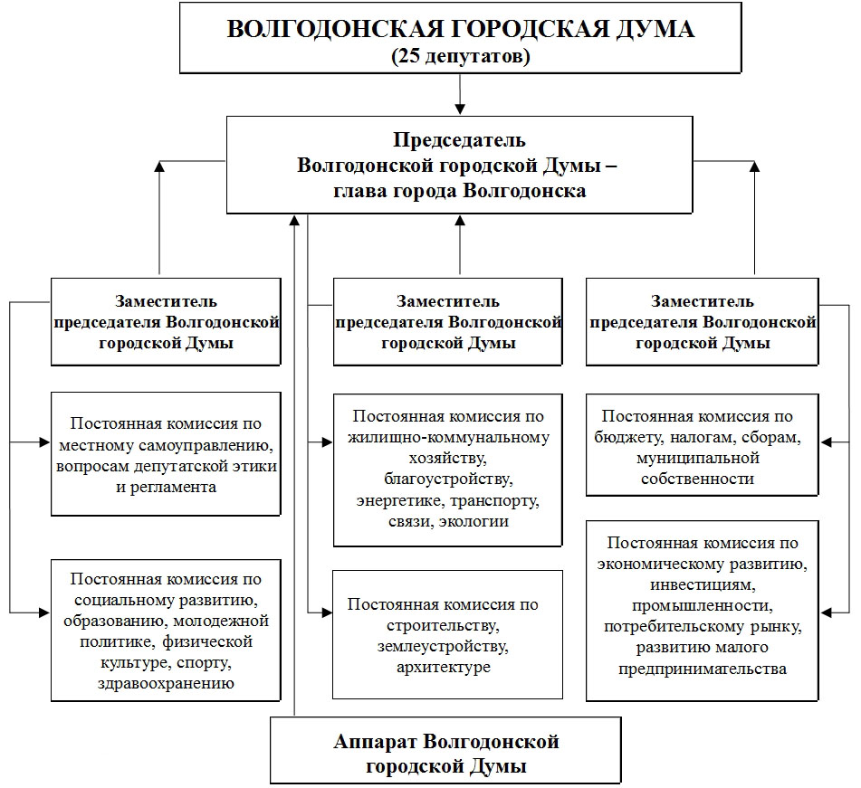 struktura gorduma org2