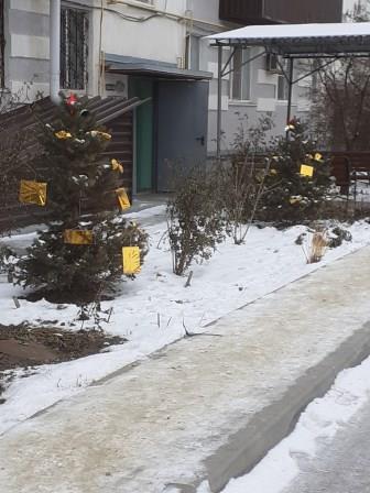 золот1