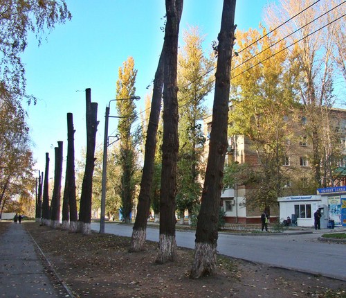 utr004